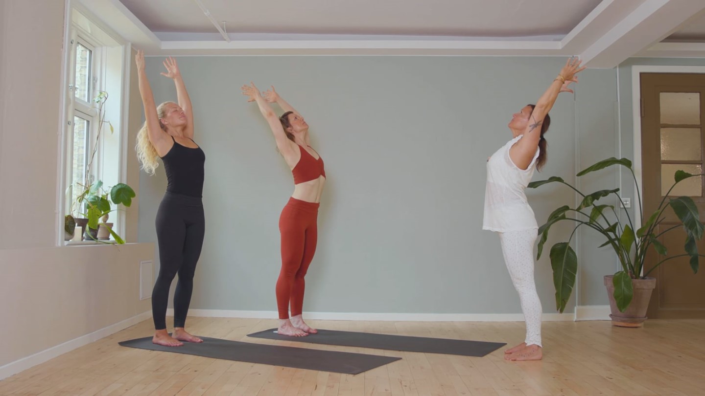 Bagoverb�jninger og �benhed