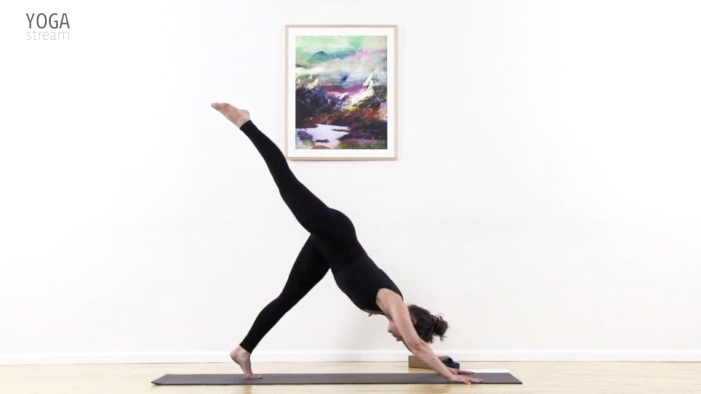 Legende vinyasa