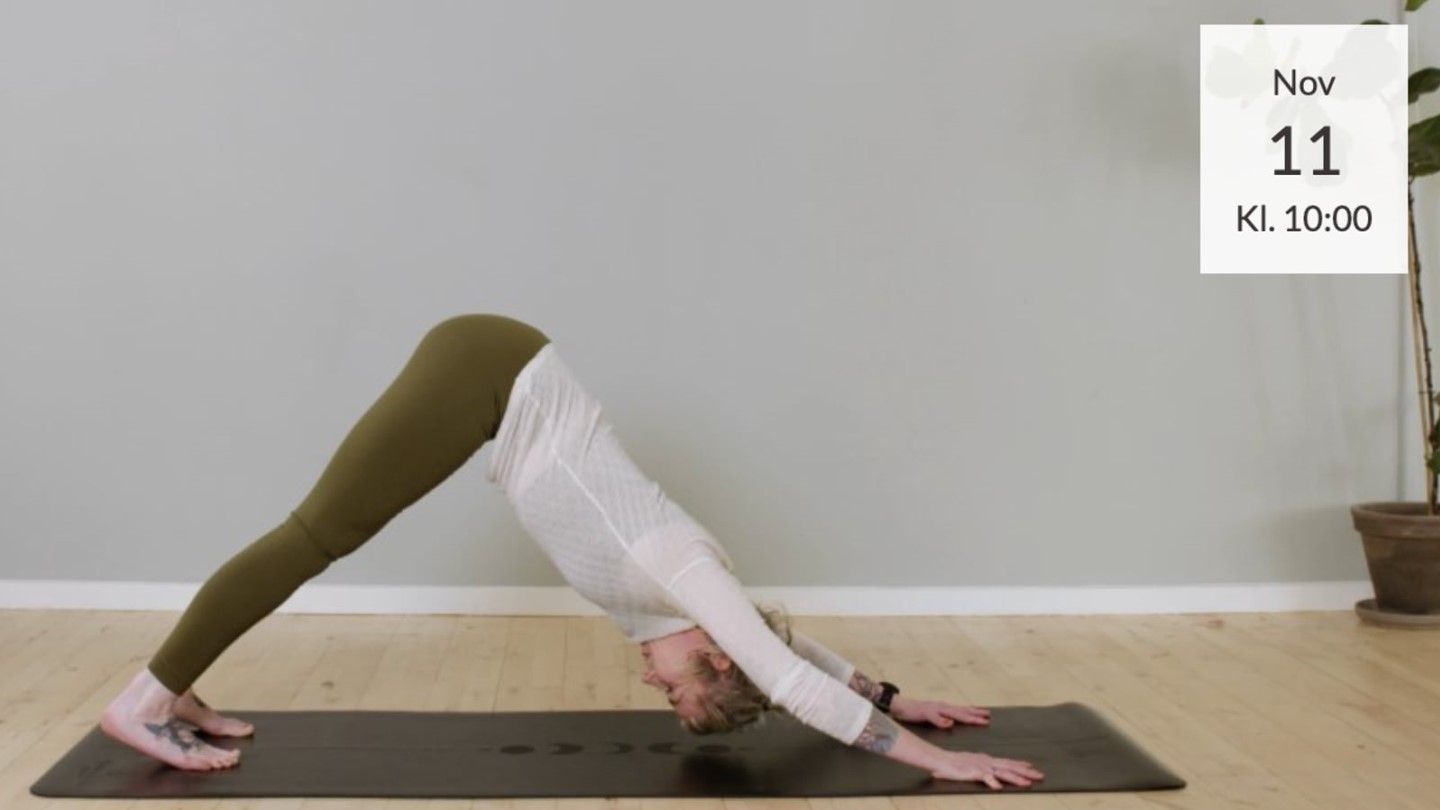 Indre varme  blid bevgelse i vingterhi