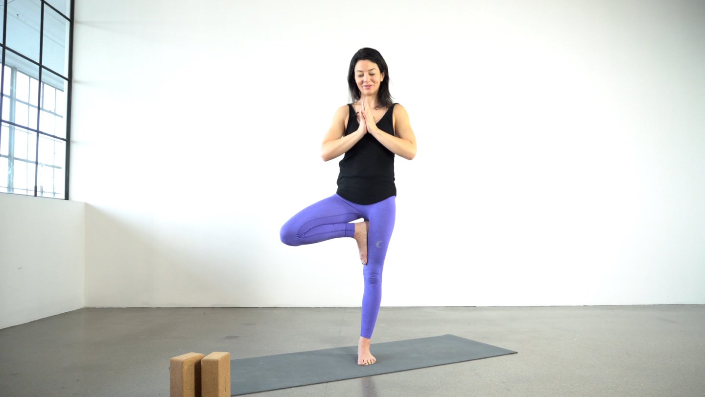 Beginner Vinyasa: Let's Begin