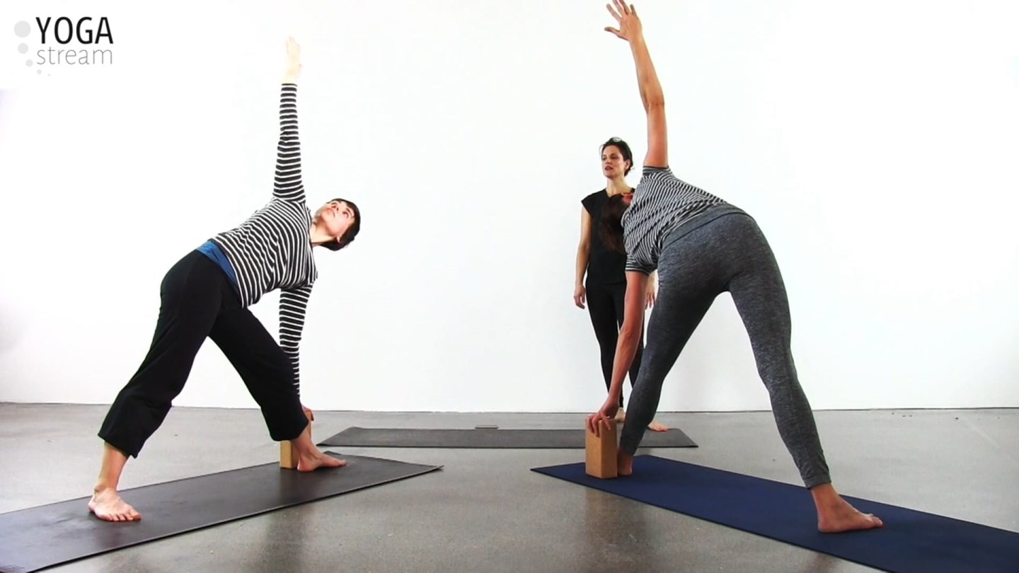 Styrke & balance (I form med flow-yoga 2)