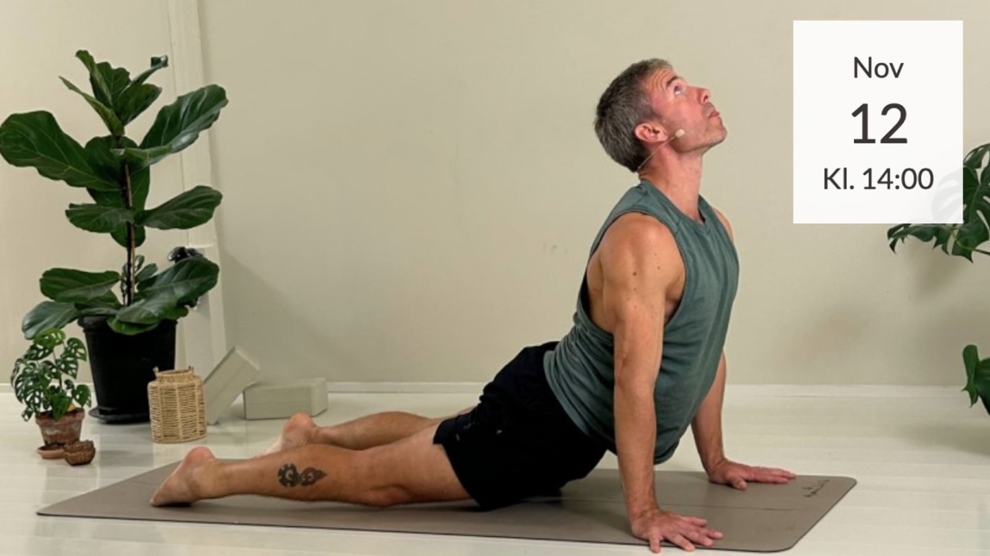 Roligt efterrsflow: Rygsjlen