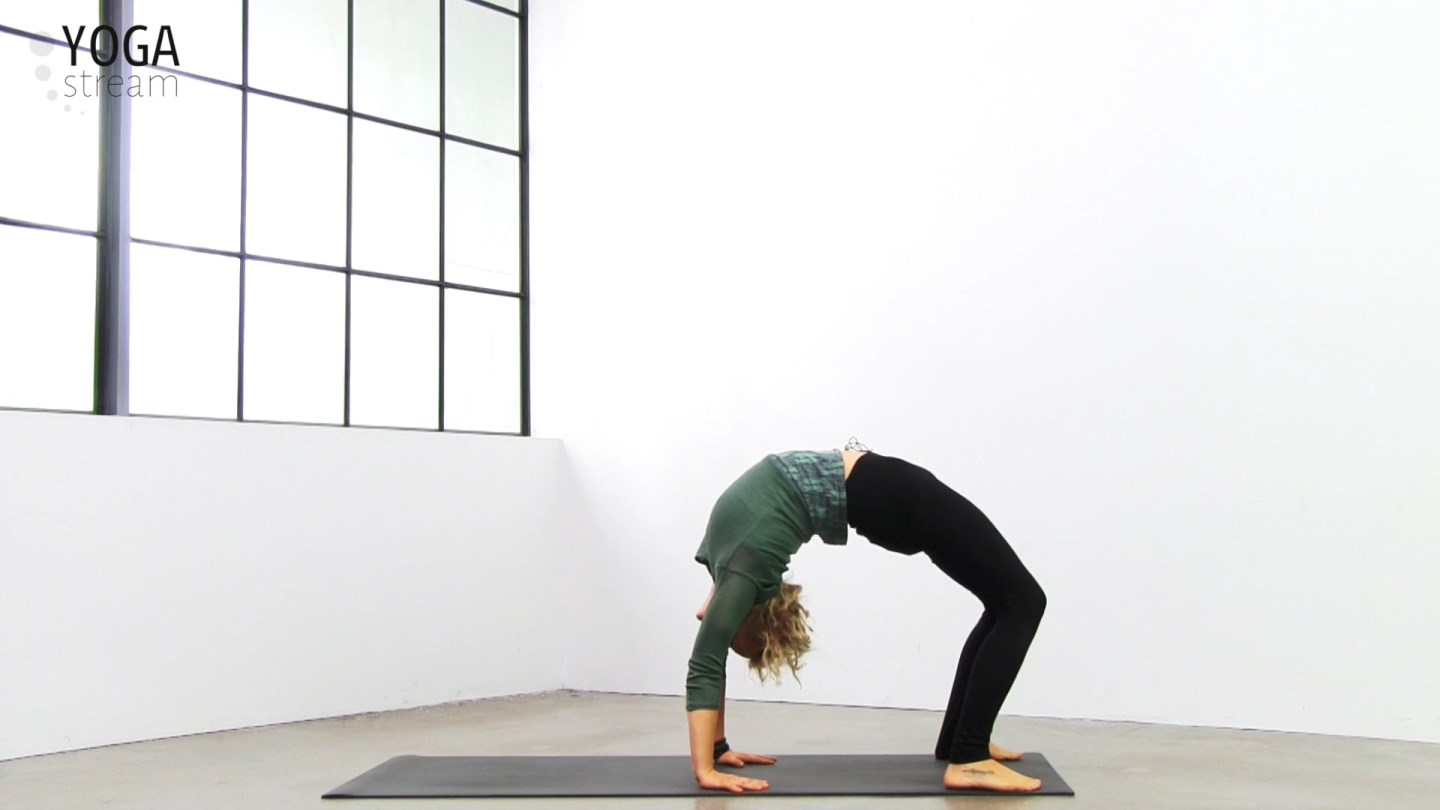 Ashtanga yoga  de afsluttende stillinger