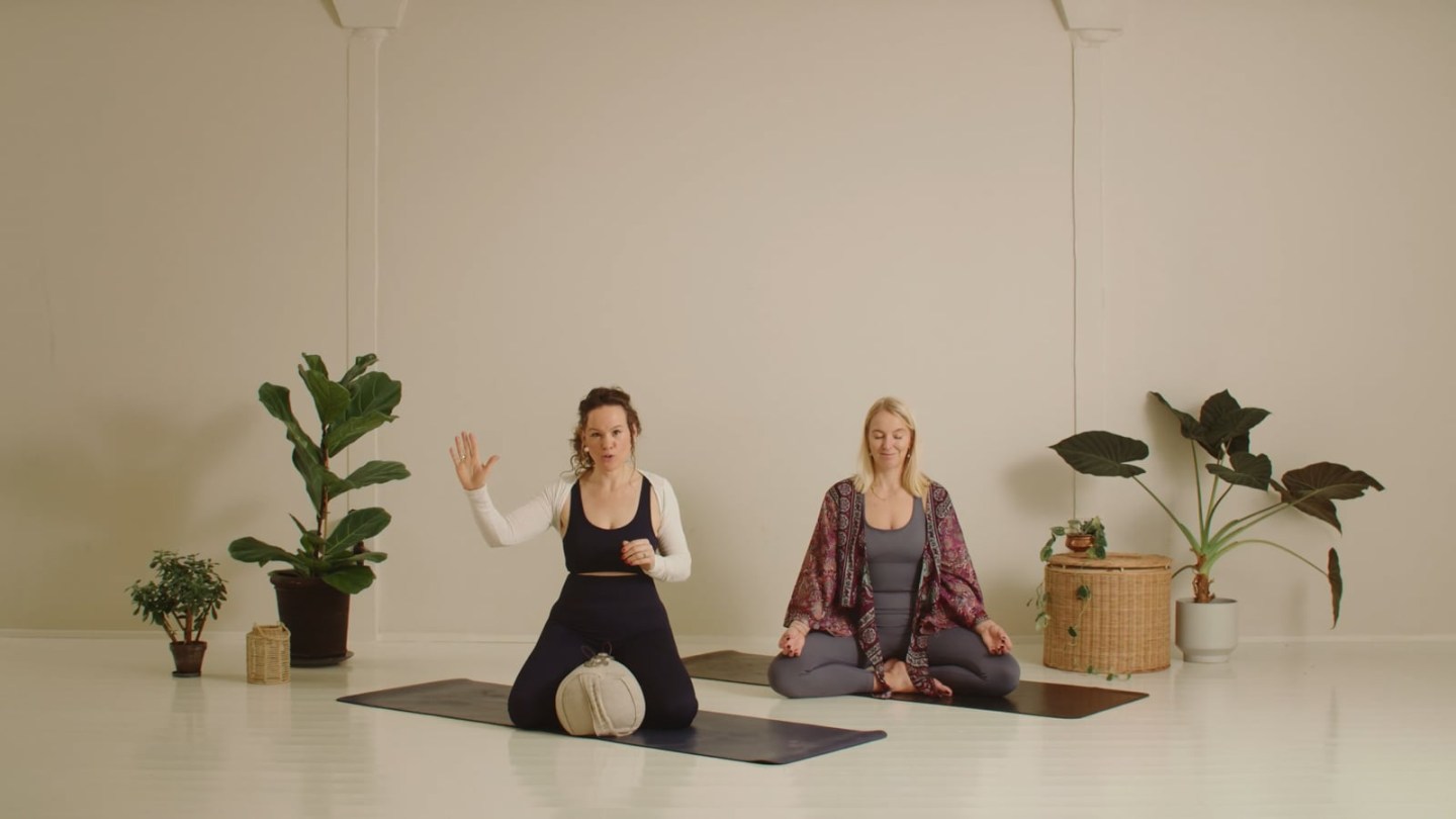 Smerteteknik- og teori